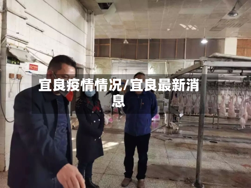 宜良疫情情况/宜良最新消息-第1张图片