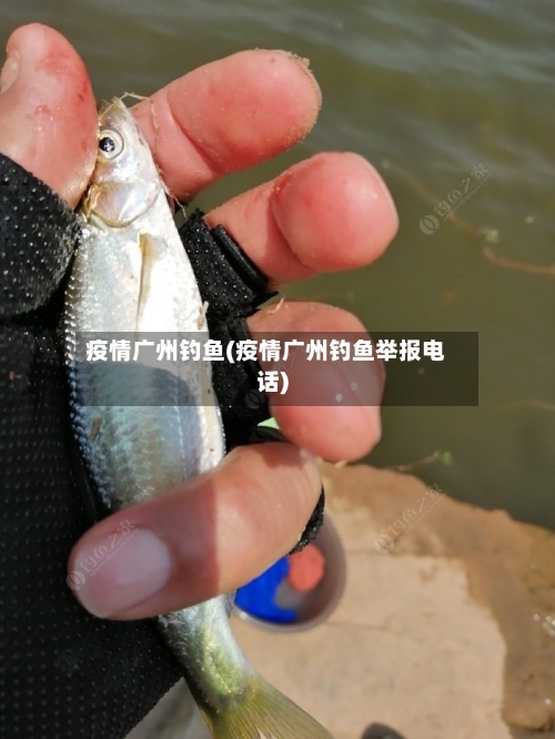 疫情广州钓鱼(疫情广州钓鱼举报电话)-第3张图片