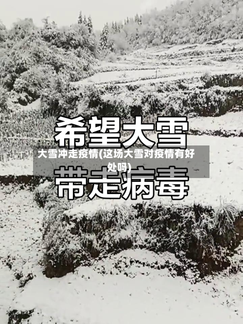 大雪冲走疫情(这场大雪对疫情有好处吗)-第3张图片