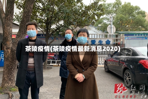 茶陵疫情(茶陵疫情最新消息2020)-第2张图片