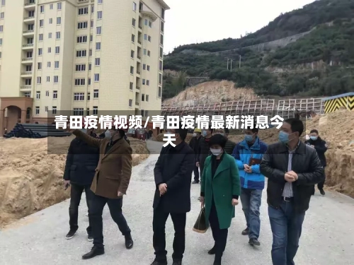 青田疫情视频/青田疫情最新消息今天-第3张图片