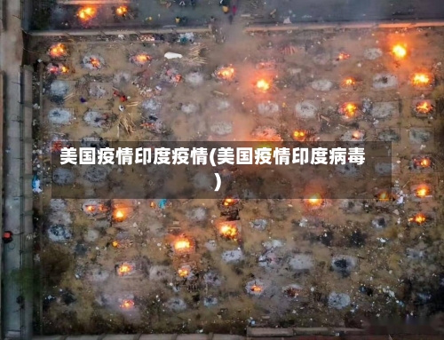 美国疫情印度疫情(美国疫情印度病毒)-第2张图片