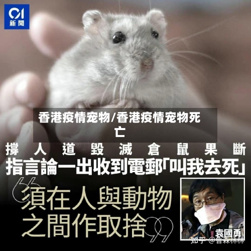 香港疫情宠物/香港疫情宠物死亡-第2张图片