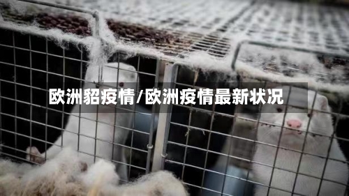 欧洲貂疫情/欧洲疫情最新状况-第2张图片