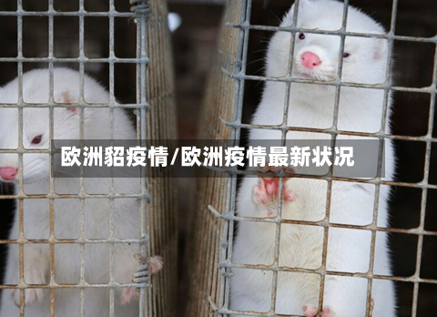 欧洲貂疫情/欧洲疫情最新状况-第3张图片