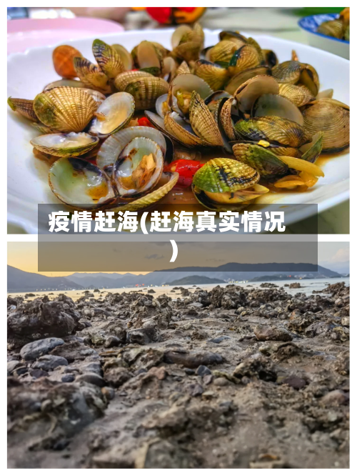 疫情赶海(赶海真实情况)-第2张图片
