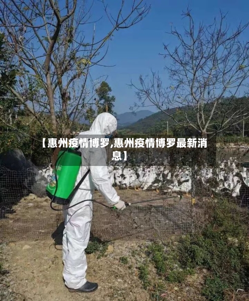 【惠州疫情博罗,惠州疫情博罗最新消息】-第1张图片