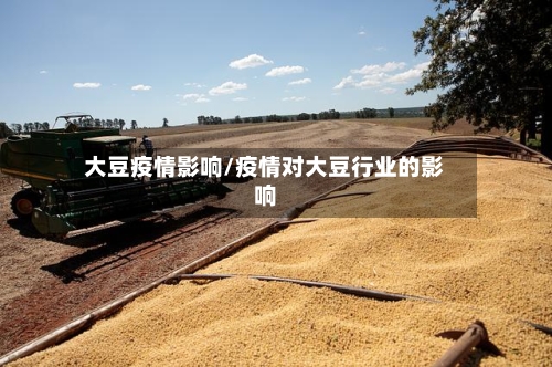 大豆疫情影响/疫情对大豆行业的影响-第2张图片