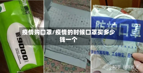 疫情购口罩/疫情的时候口罩买多少钱一个-第2张图片