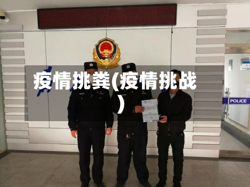 疫情挑粪(疫情挑战)-第2张图片
