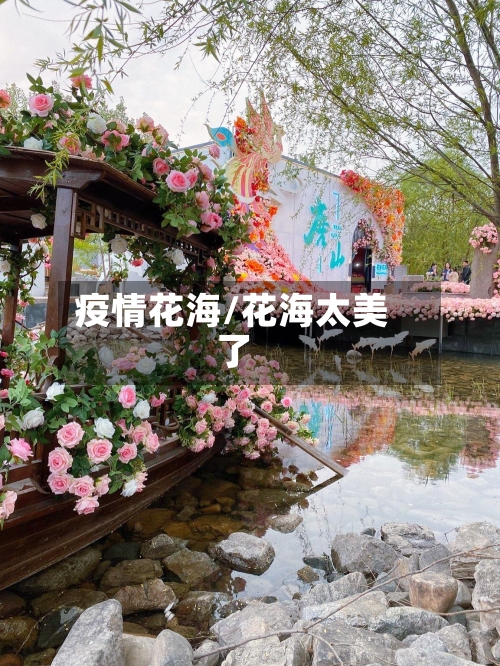 疫情花海/花海太美了-第3张图片