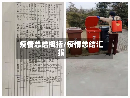 疫情总结概括/疫情总结汇报-第2张图片