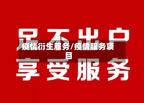 疫情衍生服务/疫情服务项目-第2张图片