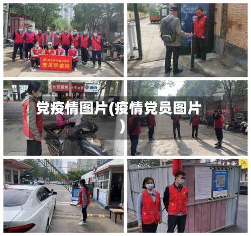 党疫情图片(疫情党员图片)-第1张图片