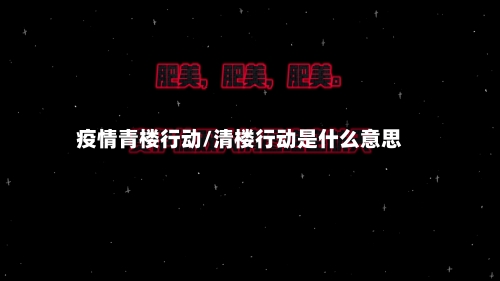 疫情青楼行动/清楼行动是什么意思-第1张图片