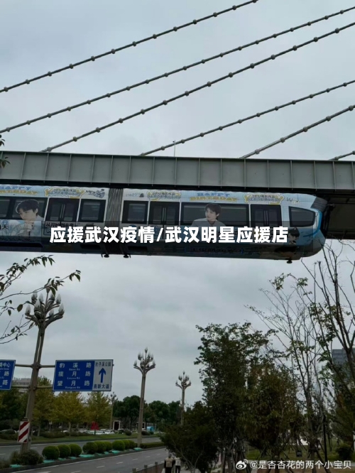 应援武汉疫情/武汉明星应援店-第1张图片