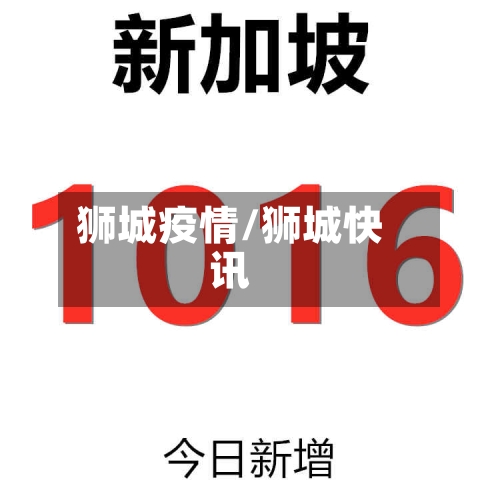 狮城疫情/狮城快讯-第1张图片