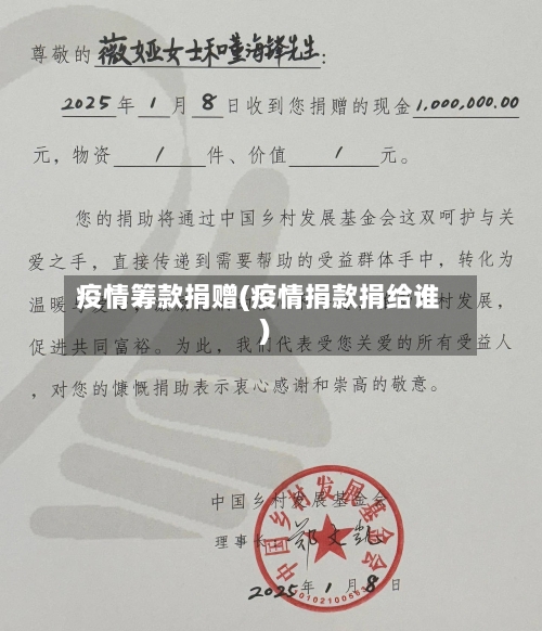 疫情筹款捐赠(疫情捐款捐给谁)-第1张图片