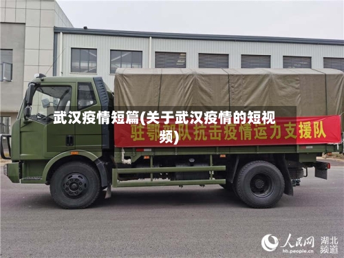 武汉疫情短篇(关于武汉疫情的短视频)-第2张图片