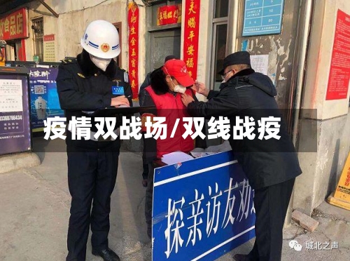疫情双战场/双线战疫-第1张图片