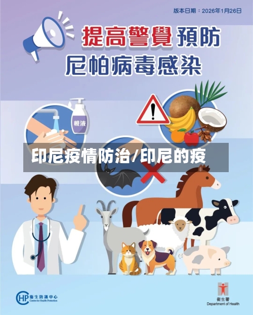 印尼疫情防治/印尼的疫-第3张图片