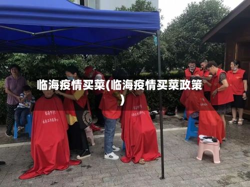 临海疫情买菜(临海疫情买菜政策)-第2张图片