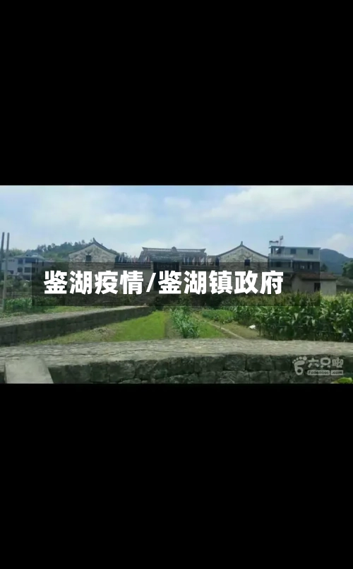 鉴湖疫情/鉴湖镇政府-第1张图片