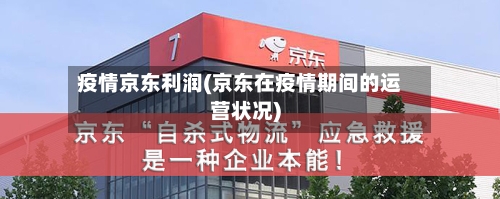 疫情京东利润(京东在疫情期间的运营状况)-第1张图片