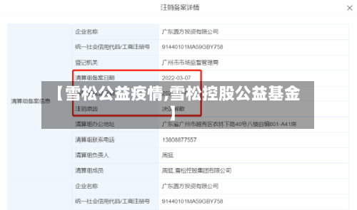 【雪松公益疫情,雪松控股公益基金】-第2张图片