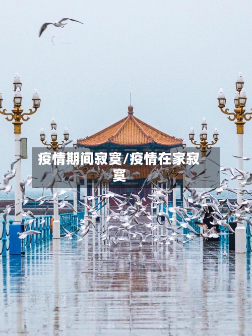 疫情期间寂寞/疫情在家寂寞-第3张图片