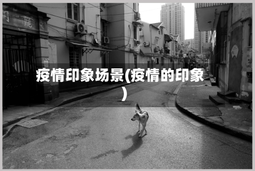疫情印象场景(疫情的印象)-第1张图片