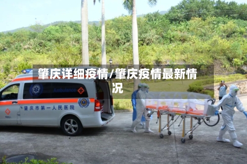 肇庆详细疫情/肇庆疫情最新情况-第1张图片