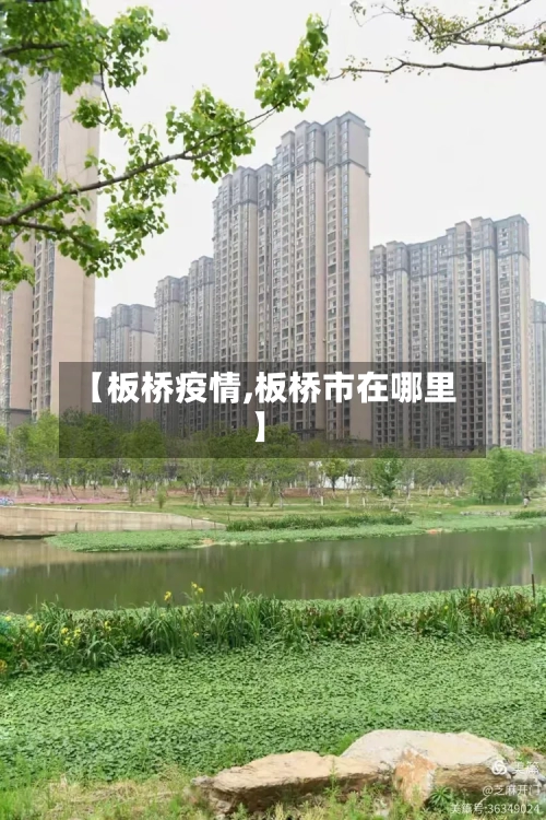 【板桥疫情,板桥市在哪里】-第1张图片