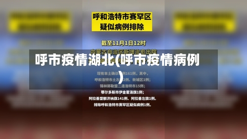 呼市疫情湖北(呼市疫情病例)-第1张图片
