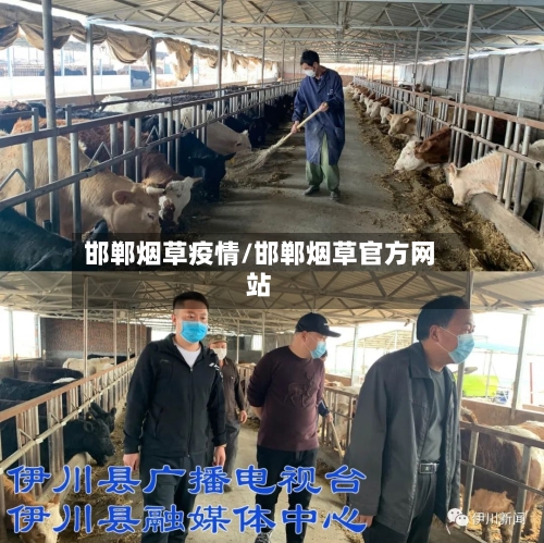邯郸烟草疫情/邯郸烟草官方网站-第2张图片