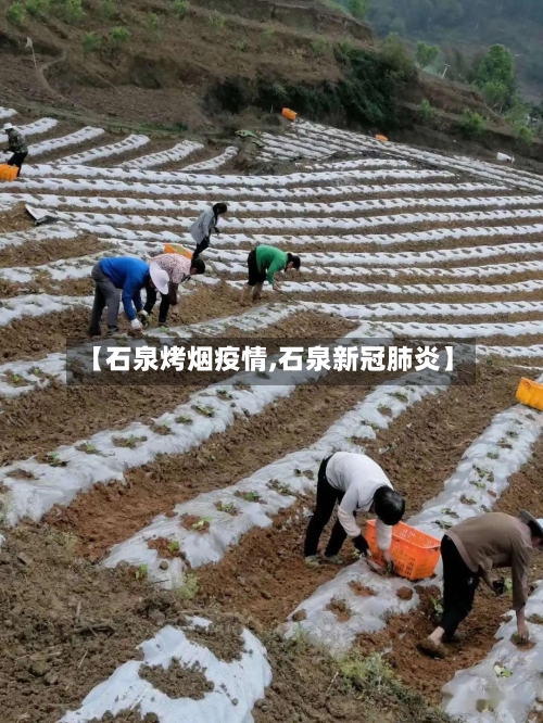 【石泉烤烟疫情,石泉新冠肺炎】-第1张图片