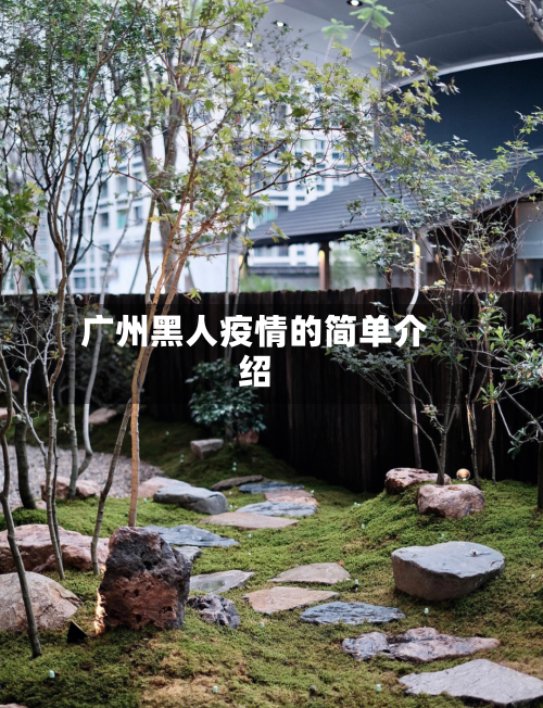 广州黑人疫情的简单介绍-第1张图片