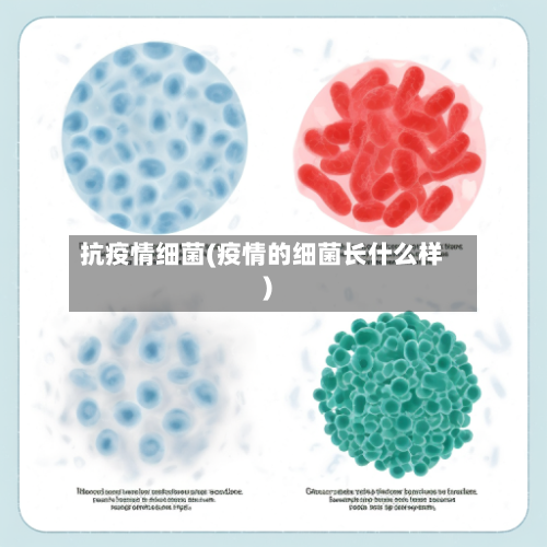 抗疫情细菌(疫情的细菌长什么样)-第3张图片