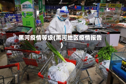 黑河疫情等级(黑河地区疫情报告)-第2张图片