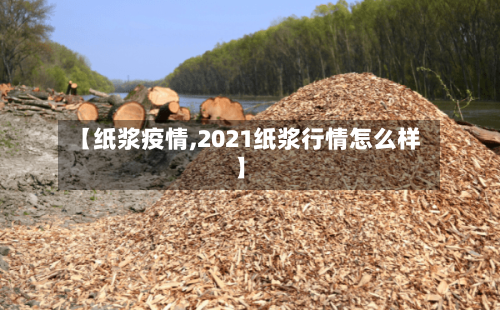 【纸浆疫情,2021纸浆行情怎么样】-第2张图片