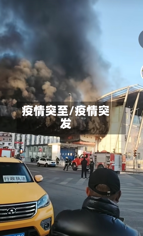 疫情突至/疫情突发-第2张图片