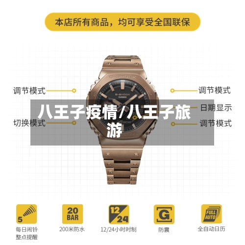 八王子疫情/八王子旅游-第1张图片