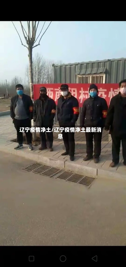 辽宁疫情净土/辽宁疫情净土最新消息-第1张图片