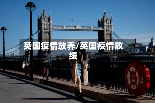 英国疫情放养/英国疫情放缓-第1张图片