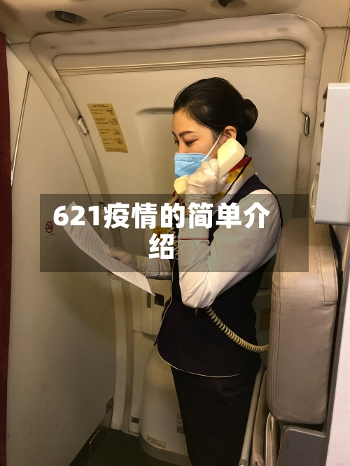 621疫情的简单介绍-第2张图片