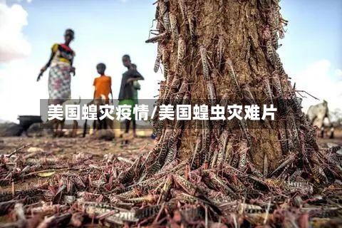美国蝗灾疫情/美国蝗虫灾难片-第1张图片