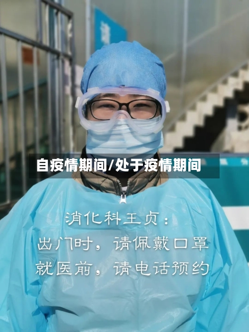 自疫情期间/处于疫情期间-第2张图片