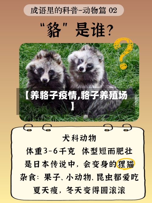 【养貉子疫情,貉子养殖场】-第2张图片