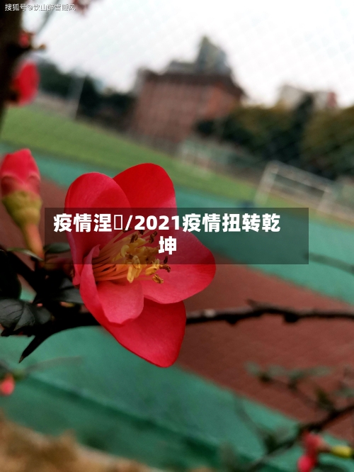 疫情涅槃/2021疫情扭转乾坤-第2张图片