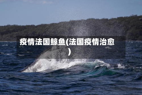 疫情法国鲸鱼(法国疫情治愈)-第1张图片